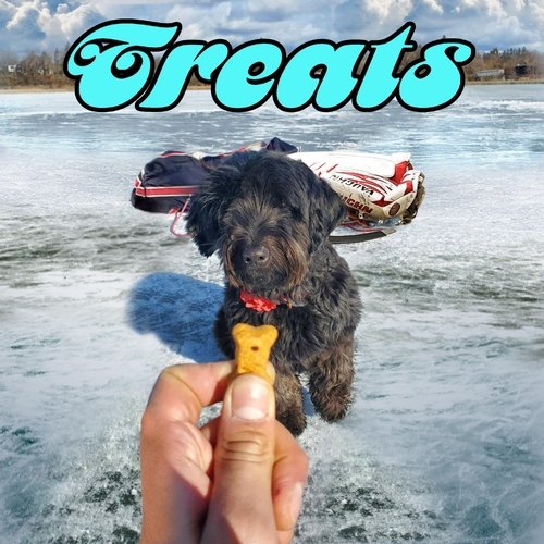 Treats