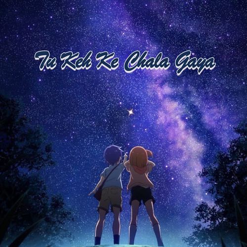 Tu Keh Ke Chala Gaya