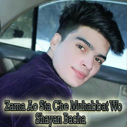 Shayan Bacha