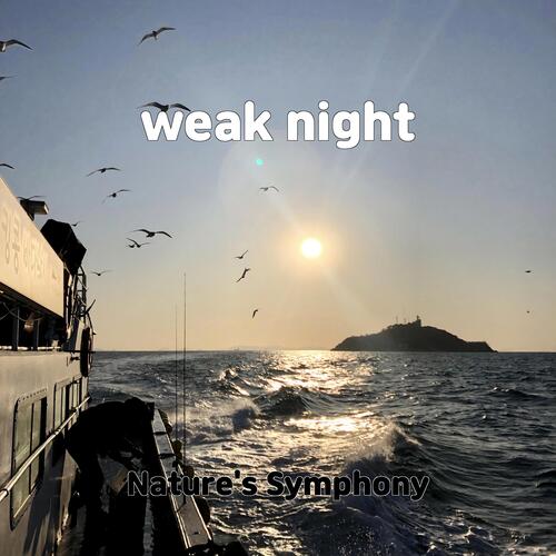 raindrops sleep cover art