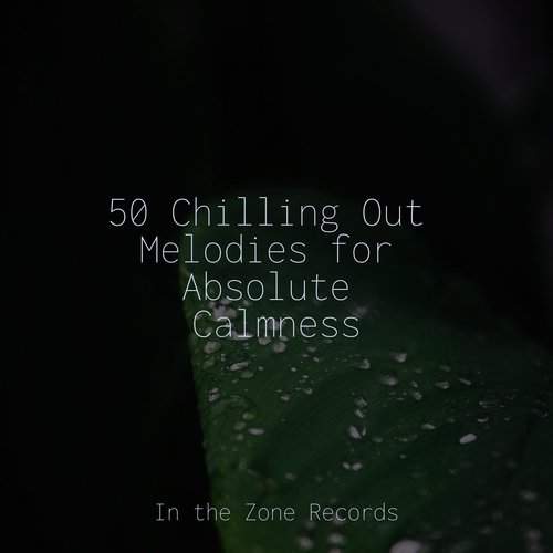 Nature's Symphony cover art