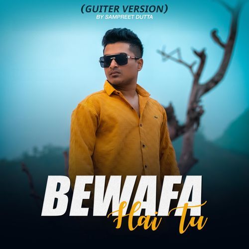 Bewafa Hai Tu (Guitar Version)