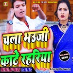 bhauji chala chali kaate rahariya (Bhojpuri)