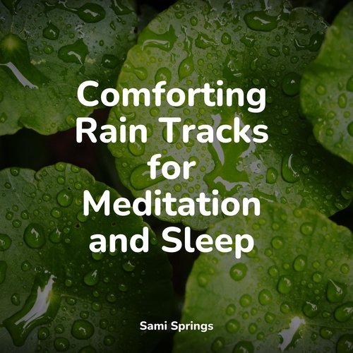 Comforting Rain Tracks for Meditation and Sleep