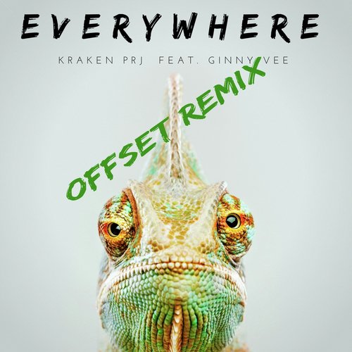 Everywhere (Offset Remix)_poster_image