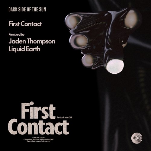 Master Plug (Liquid Earth Remix) cover art