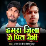 Hamra Jila Me Pita Jaibhi