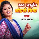 Mar Jayib Tohro Bina