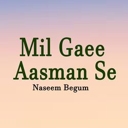 Mil Gaee Aasman Se-MTI4WxlfeQQ