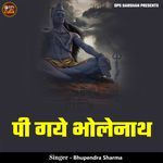 Pi Gaye Bholenath