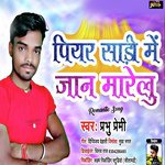 Piyar Sari Pahir Ke Jana Marelu (Bhojpuri)