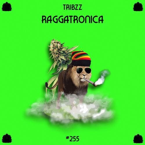 Raggatronica