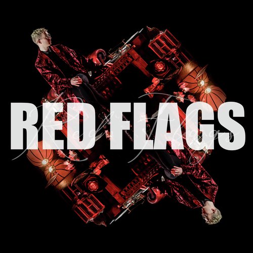 Red Flags_poster_image