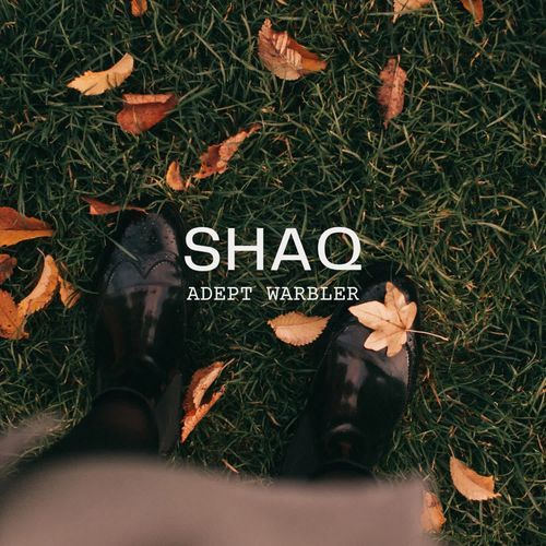 SHAQ