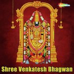 Shree Venkatesh Bhagwan