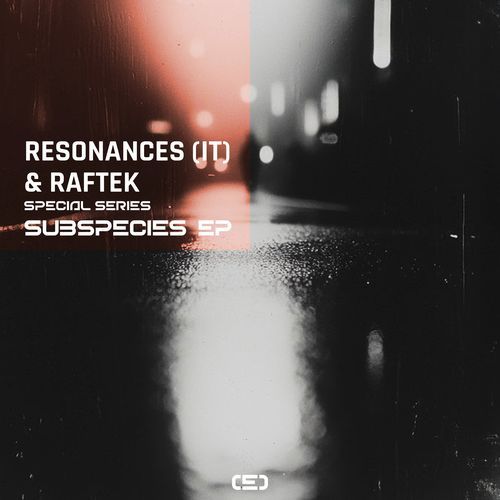 Subspecies EP