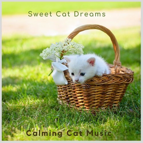 Sweet Cat Dreams_poster_image