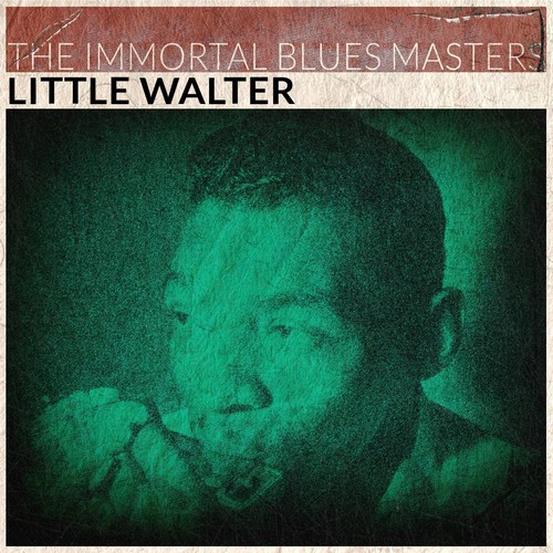 The Immortal Blues Masters (Remastered)_poster_image