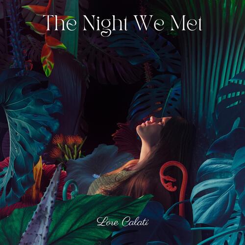 The Night We Met