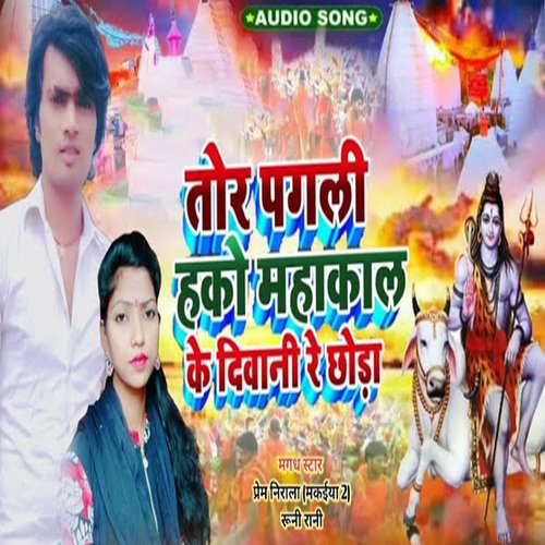 Tor Pagali Hako hamakal Ke Diwali Re Chhora (Maghi Song)