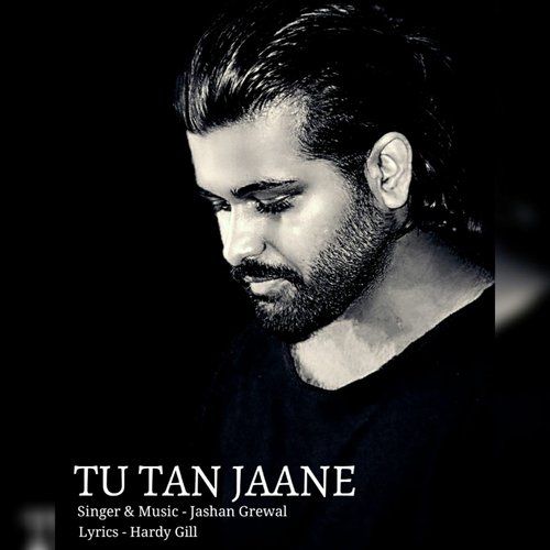 Tu Tan Jaane_poster_image