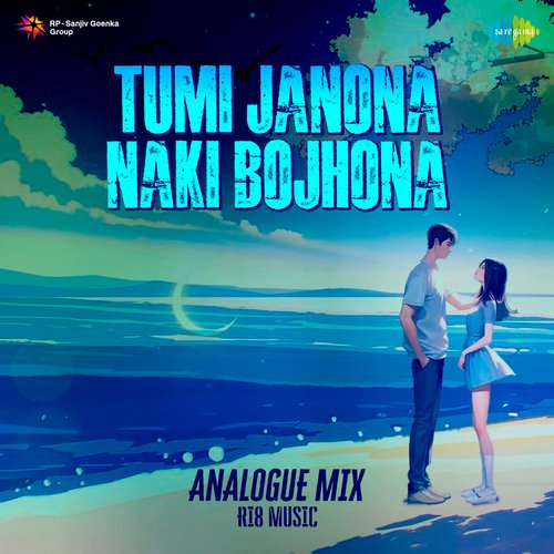 Tumi Janona Naki Bojhona (Analogue Mix)