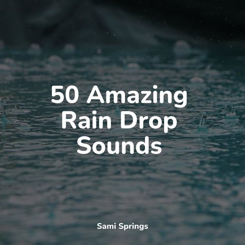 50 Amazing Rain Drop Sounds_poster_image