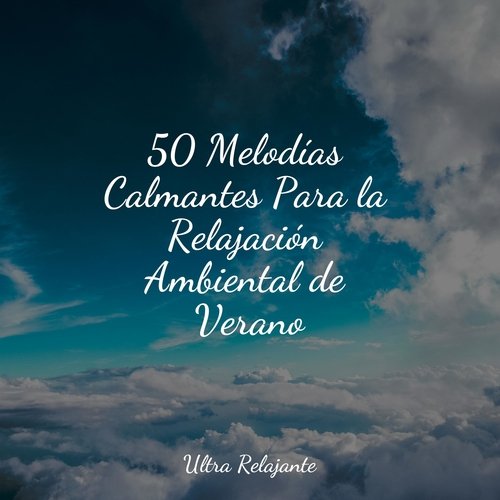 50 Melodías Calmantes Para la Relajación Ambiental de Verano