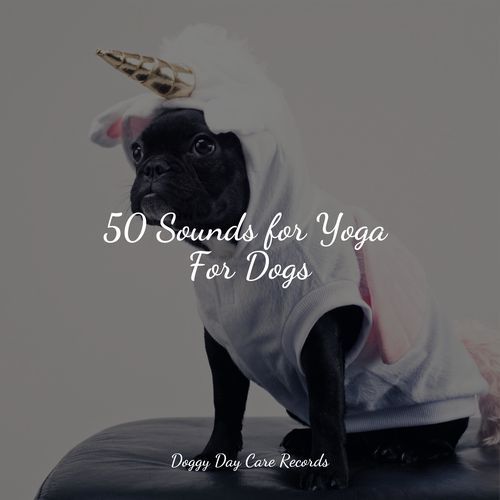 50 Sounds for Yoga For Dogs_poster_image