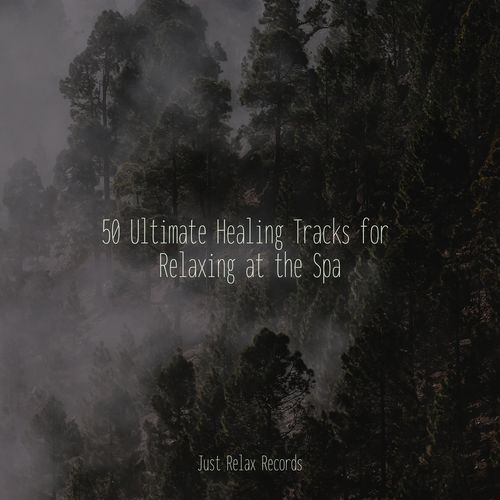 50 Ultimate Healing Tracks for Relaxing at the Spa_poster_image