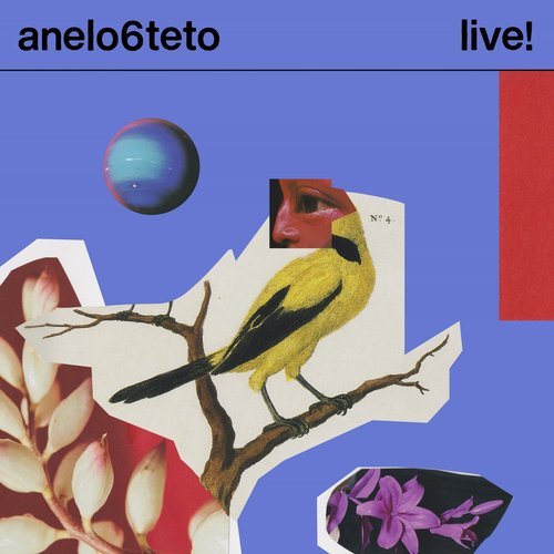 Anelo6teto Live_poster_image