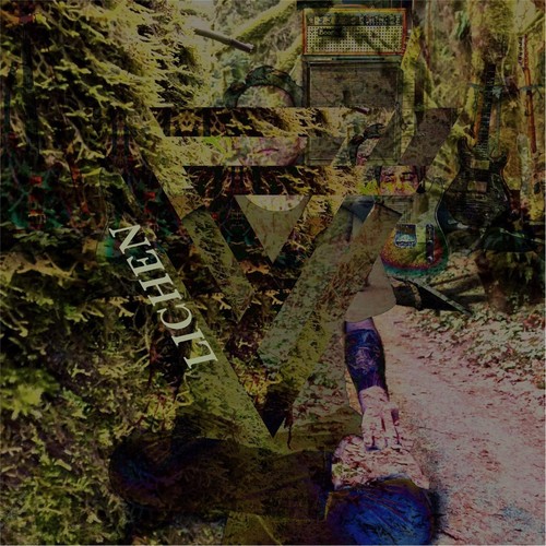 Zebras cover art
