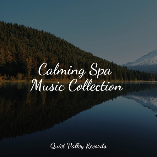 Calming Spa Music Collection