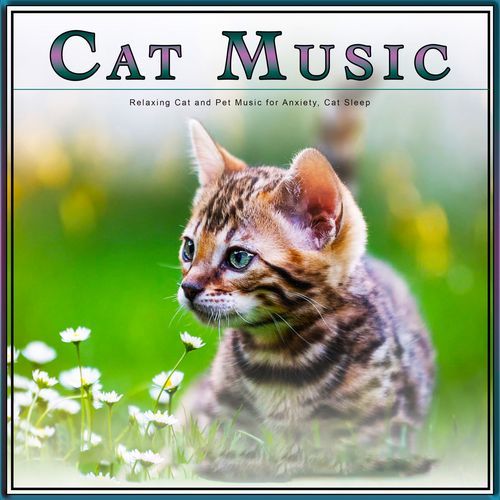 Relaxing Music For Cats cover art