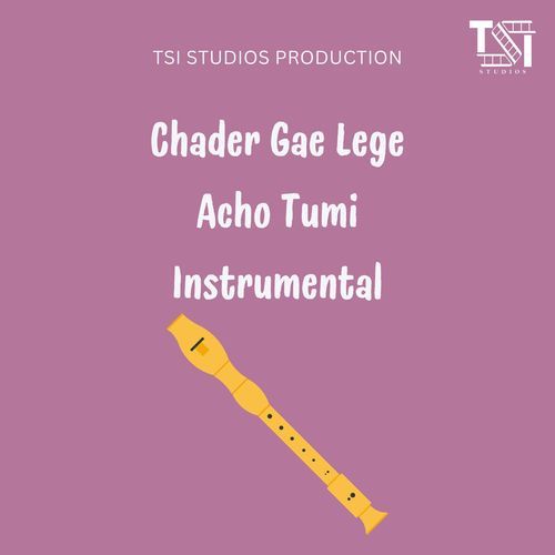 Chader Gae Lege Acho Tumi Instrumental