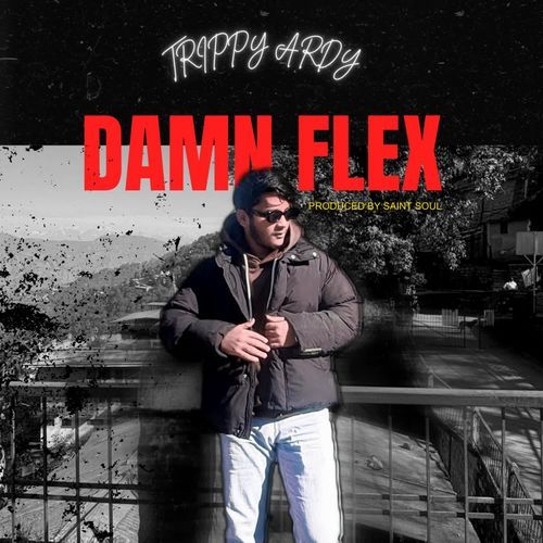 DAMN FLEX