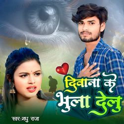 Deewana Ke Bhula Delu