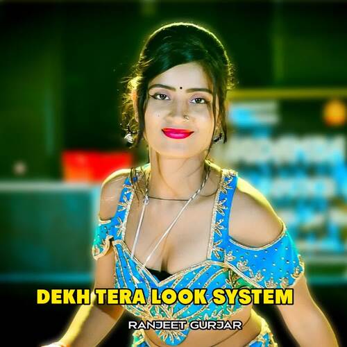 Dekh Tera Look System