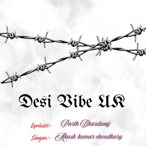 Desi Vibe Uk