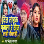 Dil Tod Ke Pagla Thik Nahi Kailhi