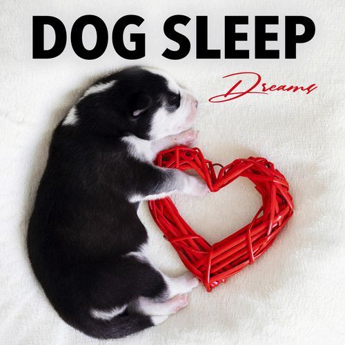 Calm Sleeping Music for Dogs