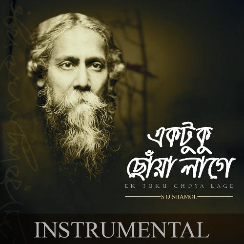 Ek Tuku Choya Lage (Instrumental Version)_poster_image