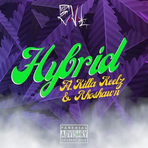 Hybrid
