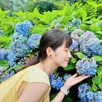 最美的遇见
