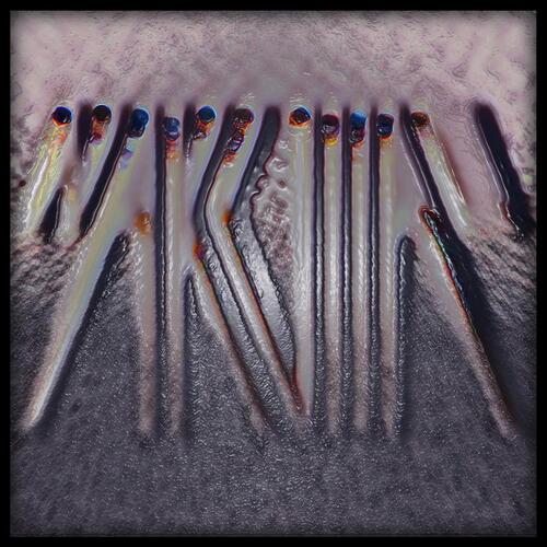 Phyllomedusa bicolor cover art