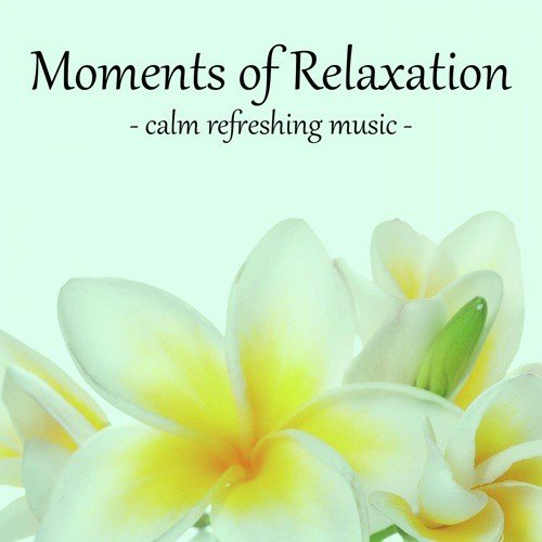 Moments of Relaxation - Calm Refreshing Music