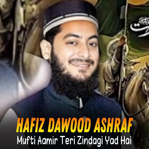 Mufti Aamir Teri Zindagi Yad Hai