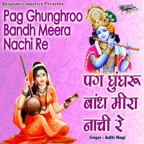 Pag Ghunghroo Bandh Meera Nachi Re_poster_image