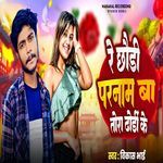 Re Chhauri Pranam Ba Tora Dhori Ke