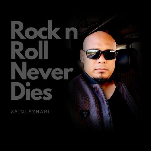 Rock and Roll Never Dies cover art